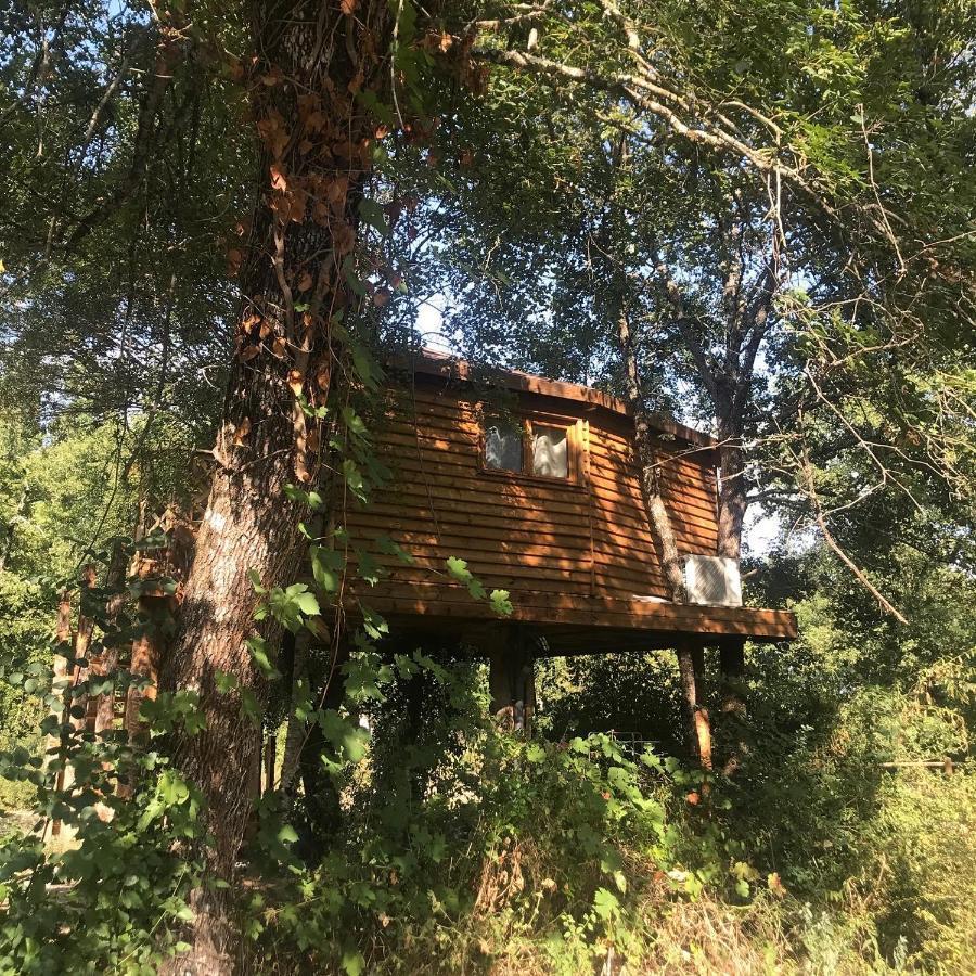 Holiday home La Bastide Du Baou